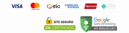 Bandeiras de cartão aceitas, selo SSL e Google Safe Browsing